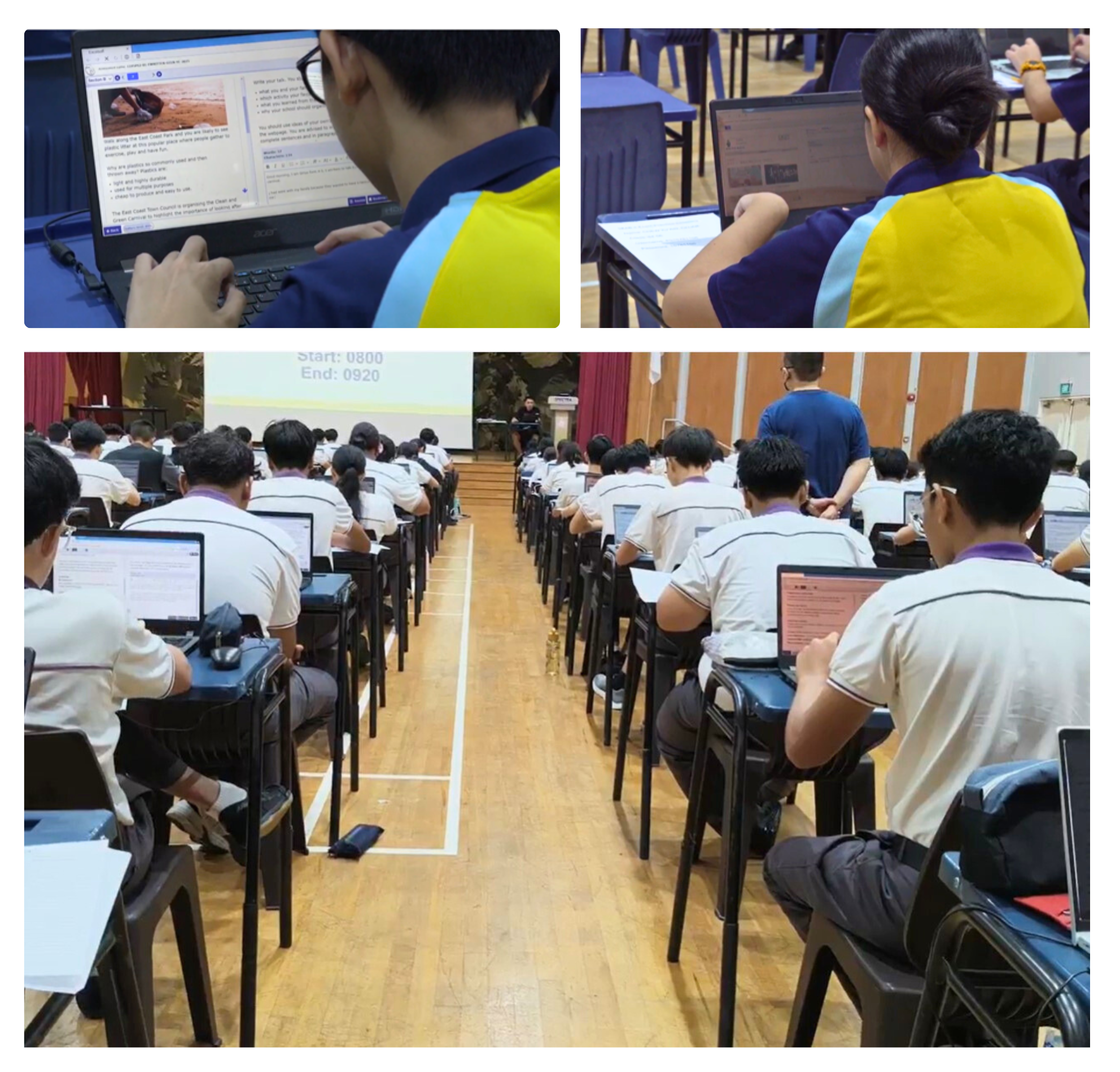 Crest and Spectra showed positive engagement during practice sessions